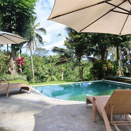 Aventus Resort Ubud Tegallalang  Buitenkant foto