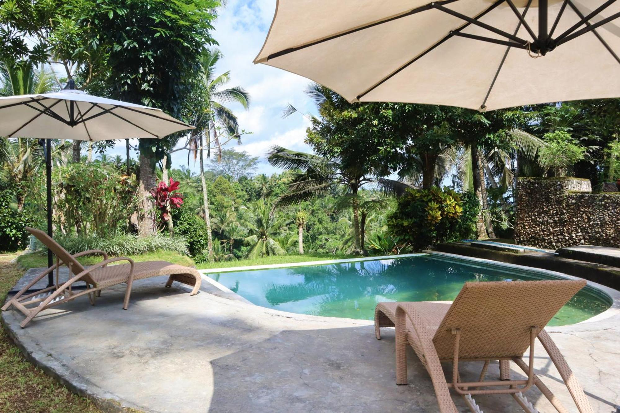 Aventus Resort Ubud Tegallalang  Buitenkant foto