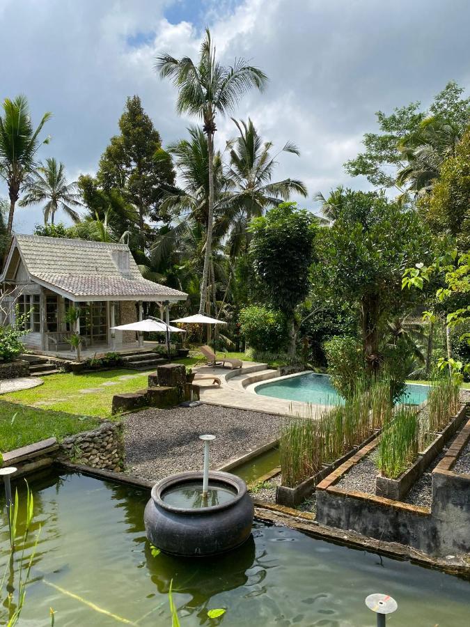 Aventus Resort Ubud Tegallalang  Buitenkant foto